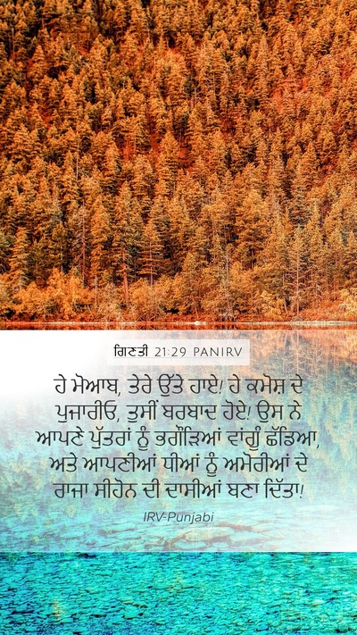 ਗਿਣਤੀ 21:29 PANIRV Bible Verse Image