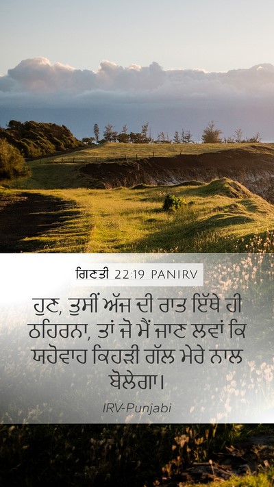 ਗਿਣਤੀ 22:19 PANIRV Bible Verse Image