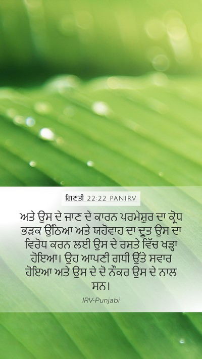 ਗਿਣਤੀ 22:22 PANIRV Bible Verse Image
