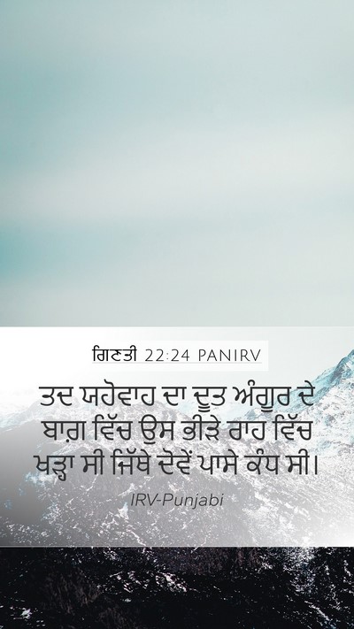 ਗਿਣਤੀ 22:24 PANIRV Mobile Phone Wallpaper - ਤਦ ਯਹੋਵਾਹ ਦਾ ਦੂਤ - Mobile Bible Verse Wallpaper