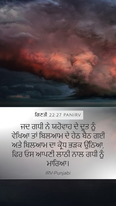ਗਿਣਤੀ 22:27 PANIRV Mobile Phone Wallpaper - ਜਦ ਗਧੀ ਨੇ ਯਹੋਵਾਹ ਦੇ - Mobile Bible Verse Wallpaper