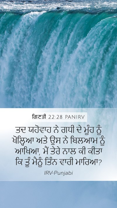 ਗਿਣਤੀ 22:28 PANIRV Bible Verse Image