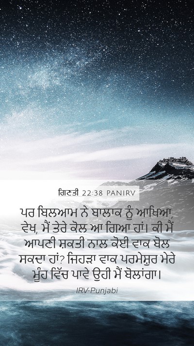 ਗਿਣਤੀ 22:38 PANIRV Bible Verse Image