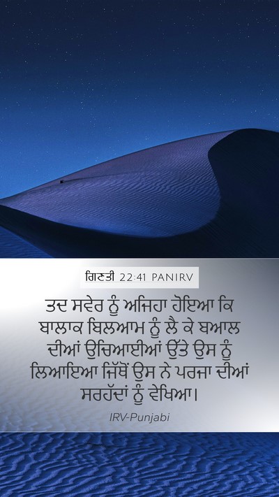 ਗਿਣਤੀ 22:41 PANIRV Bible Verse Image
