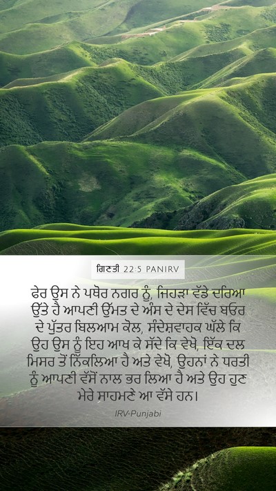 ਗਿਣਤੀ 22:5 PANIRV Bible Verse Image