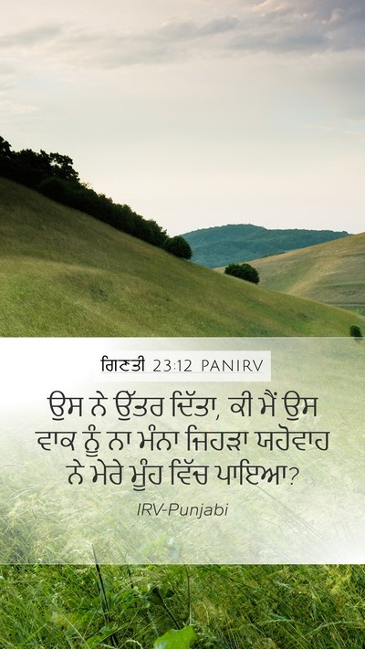 ਗਿਣਤੀ 23:12 PANIRV Bible Verse Image