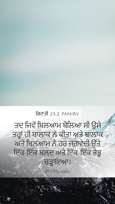 ਗਿਣਤੀ 23:2 PANIRV Mobile Phone Wallpaper - ਤਦ ਜਿਵੇਂ ਬਿਲਆਮ - Mobile Bible Verse Wallpaper