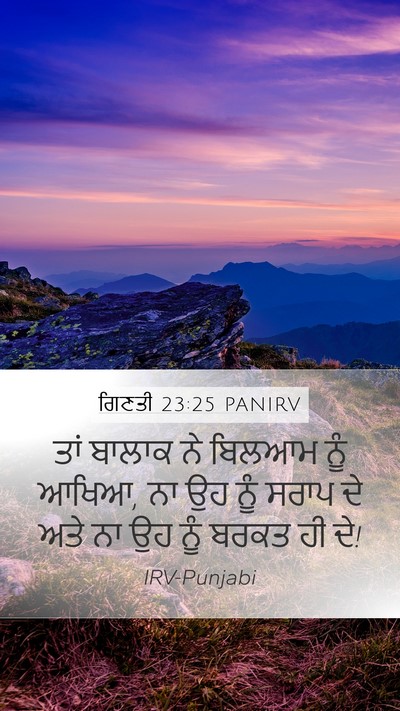 ਗਿਣਤੀ 23:25 PANIRV Mobile Phone Wallpaper - ਤਾਂ ਬਾਲਾਕ ਨੇ ਬਿਲਆਮ - Mobile Bible Verse Wallpaper