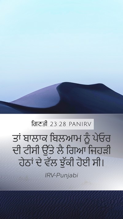 ਗਿਣਤੀ 23:28 PANIRV Bible Verse Image