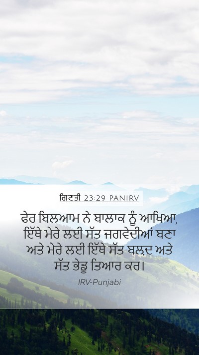 ਗਿਣਤੀ 23:29 PANIRV Bible Verse Image