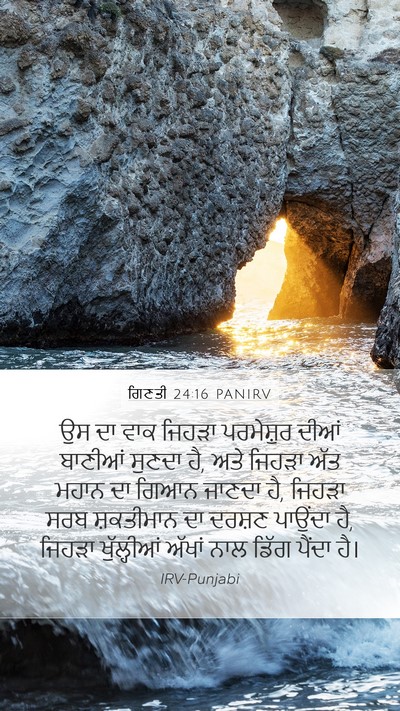 ਗਿਣਤੀ 24:16 PANIRV Bible Verse Image