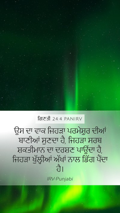 ਗਿਣਤੀ 24:4 PANIRV Bible Verse Image
