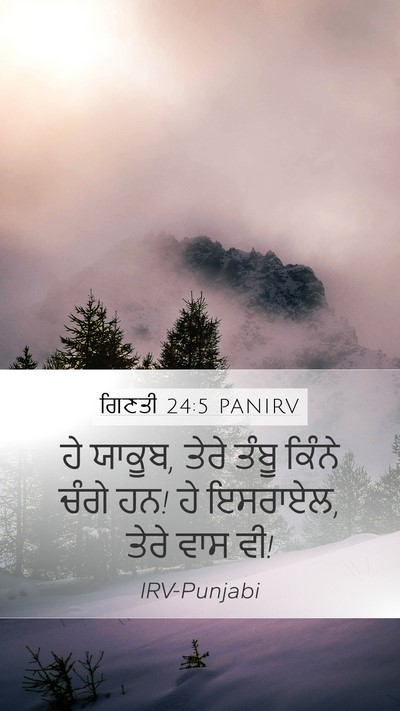 ਗਿਣਤੀ 24:5 PANIRV Bible Verse Image