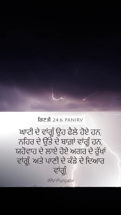 ਗਿਣਤੀ 24:6 PANIRV Bible Verse Image
