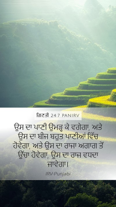 ਗਿਣਤੀ 24:7 PANIRV Bible Verse Image