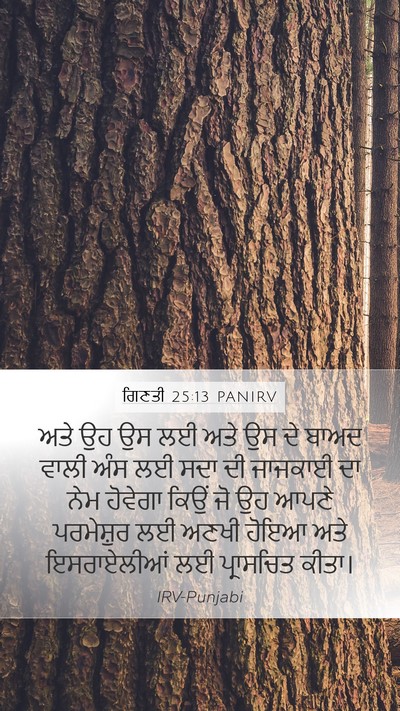 ਗਿਣਤੀ 25:13 PANIRV Bible Verse Image