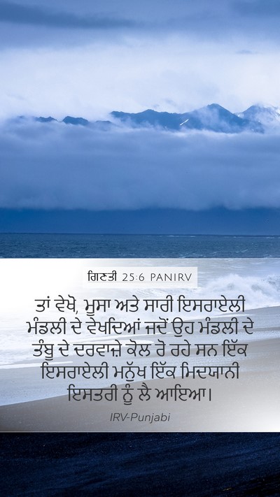 ਗਿਣਤੀ 25:6 PANIRV Bible Verse Image