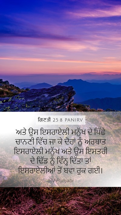 ਗਿਣਤੀ 25:8 PANIRV Bible Verse Image