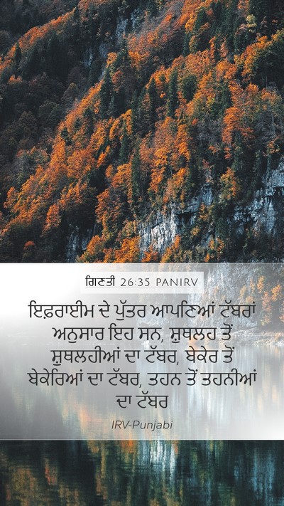 ਗਿਣਤੀ 26:35 PANIRV Bible Verse Image