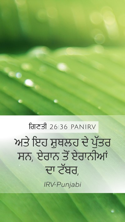 ਗਿਣਤੀ 26:36 PANIRV Mobile Phone Wallpaper - ਅਤੇ ਇਹ ਸ਼ੁਥਲਹ ਦੇ - Mobile Bible Verse Wallpaper