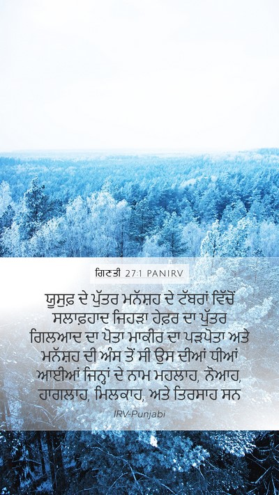ਗਿਣਤੀ 27:1 PANIRV Bible Verse Image