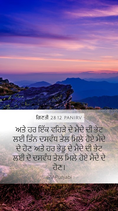 ਗਿਣਤੀ 28:12 PANIRV Bible Verse Image