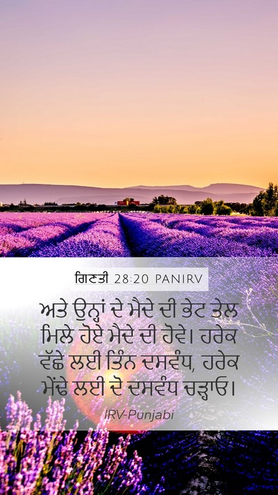 ਗਿਣਤੀ 28:20 PANIRV Bible Verse Image