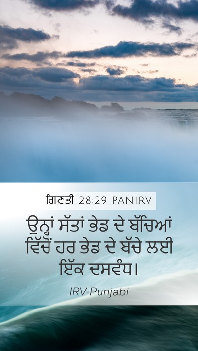 ਗਿਣਤੀ 28:29 PANIRV Mobile Phone Wallpaper - ਉਨ੍ਹਾਂ ਸੱਤਾਂ ਭੇਡ - Mobile Bible Verse Wallpaper