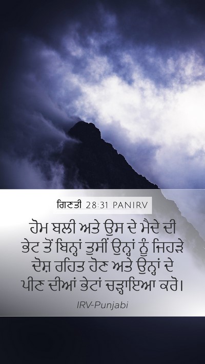 ਗਿਣਤੀ 28:31 PANIRV Bible Verse Image