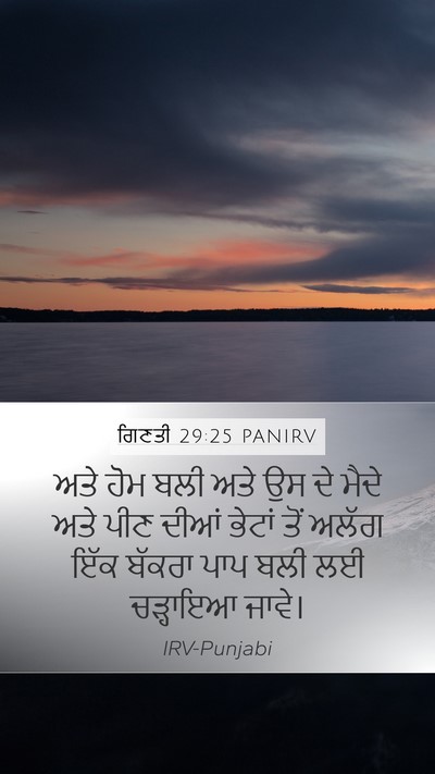 ਗਿਣਤੀ 29:25 PANIRV Bible Verse Image