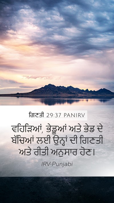 ਗਿਣਤੀ 29:37 PANIRV Mobile Phone Wallpaper - ਵਹਿੜਿਆਂ, ਭੇਡੂਆਂ - Mobile Bible Verse Wallpaper