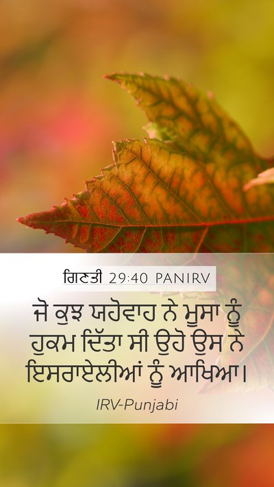 ਗਿਣਤੀ 29:40 PANIRV Mobile Phone Wallpaper - ਜੋ ਕੁਝ ਯਹੋਵਾਹ ਨੇ - Mobile Bible Verse Wallpaper