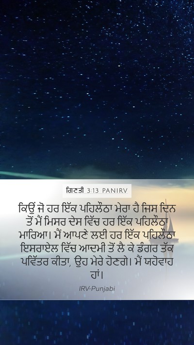 ਗਿਣਤੀ 3:13 PANIRV Bible Verse Image
