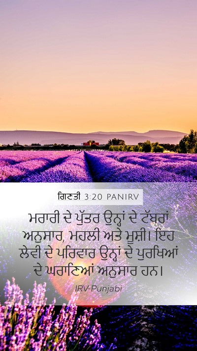 ਗਿਣਤੀ 3:20 PANIRV Bible Verse Image