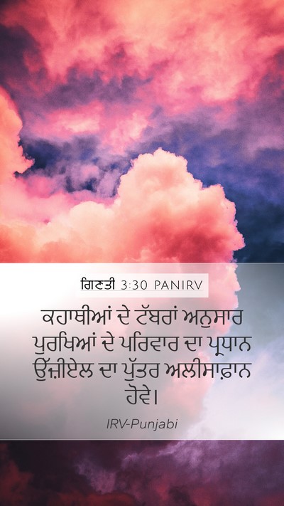 ਗਿਣਤੀ 3:30 PANIRV Bible Verse Image