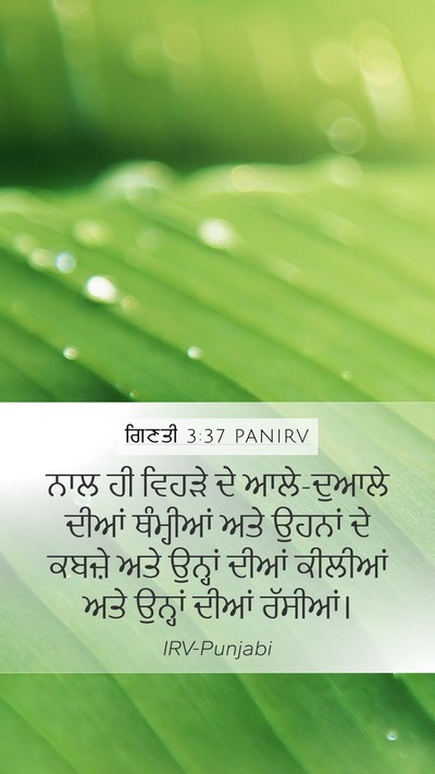 ਗਿਣਤੀ 3:37 PANIRV Mobile Phone Wallpaper - ਨਾਲ ਹੀ ਵਿਹੜੇ ਦੇ - Mobile Bible Verse Wallpaper
