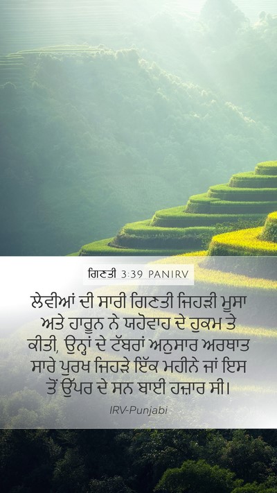 ਗਿਣਤੀ 3:39 PANIRV Bible Verse Image