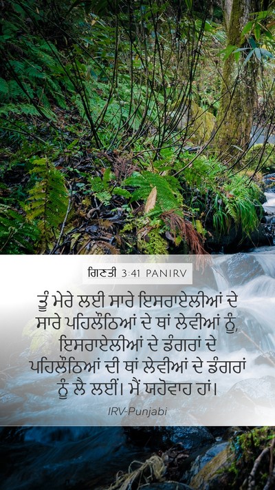 ਗਿਣਤੀ 3:41 PANIRV Bible Verse Image