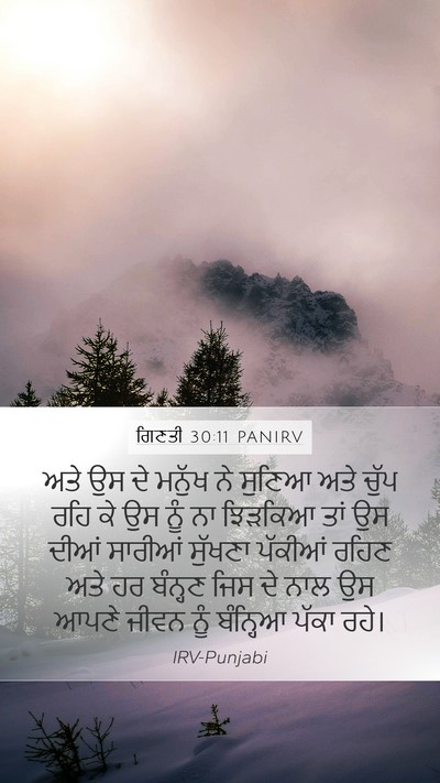 ਗਿਣਤੀ 30:11 PANIRV Mobile Phone Wallpaper - ਅਤੇ ਉਸ ਦੇ ਮਨੁੱਖ ਨੇ - Mobile Bible Verse Wallpaper