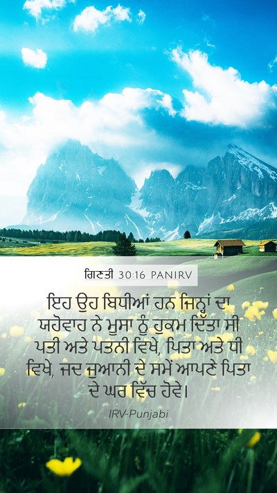 ਗਿਣਤੀ 30:16 PANIRV Mobile Phone Wallpaper - ਇਹ ਉਹ ਬਿਧੀਆਂ ਹਨ - Mobile Bible Verse Wallpaper