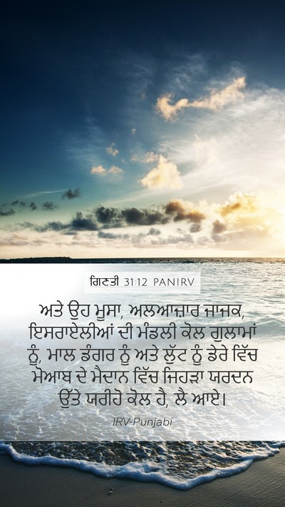 ਗਿਣਤੀ 31:12 PANIRV Bible Verse Image