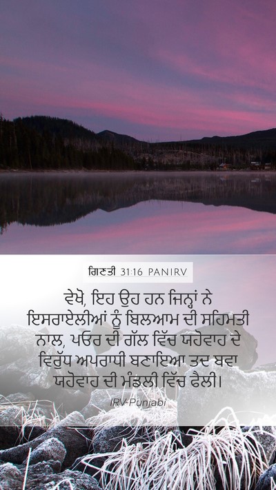 ਗਿਣਤੀ 31:16 PANIRV Bible Verse Image
