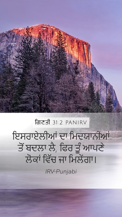 ਗਿਣਤੀ 31:2 PANIRV Bible Verse Image