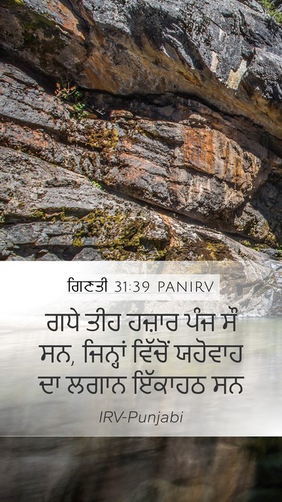 ਗਿਣਤੀ 31:39 PANIRV Mobile Phone Wallpaper - ਗਧੇ ਤੀਹ ਹਜ਼ਾਰ ਪੰਜ - Mobile Bible Verse Wallpaper