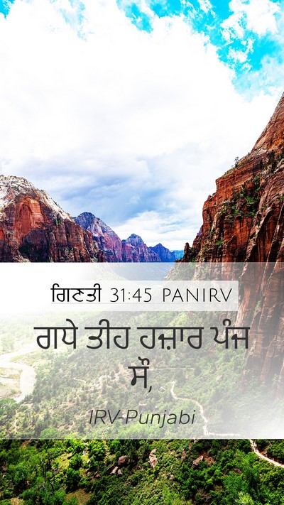 ਗਿਣਤੀ 31:45 PANIRV Mobile Phone Wallpaper - ਗਧੇ ਤੀਹ ਹਜ਼ਾਰ ਪੰਜ - Mobile Bible Verse Wallpaper