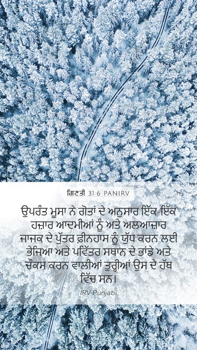 ਗਿਣਤੀ 31:6 PANIRV Bible Verse Image
