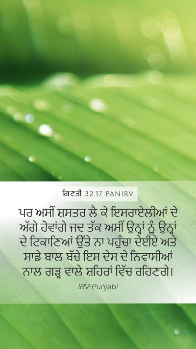 ਗਿਣਤੀ 32:17 PANIRV Bible Verse Image