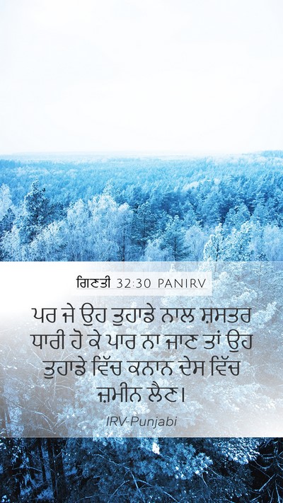 ਗਿਣਤੀ 32:30 PANIRV Bible Verse Image