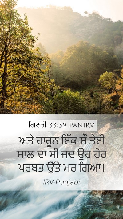 ਗਿਣਤੀ 33:39 PANIRV Mobile Phone Wallpaper - ਅਤੇ ਹਾਰੂਨ ਇੱਕ ਸੌ - Mobile Bible Verse Wallpaper