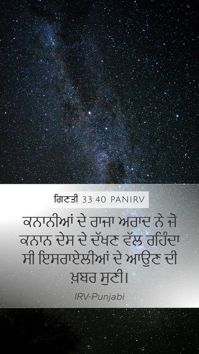 ਗਿਣਤੀ 33:40 PANIRV Bible Verse Image
